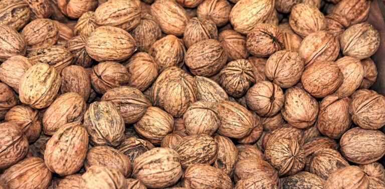 The Benefits of a Mediterranean Diet for Longevity